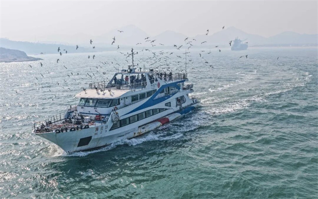 海驢島環島游開航！